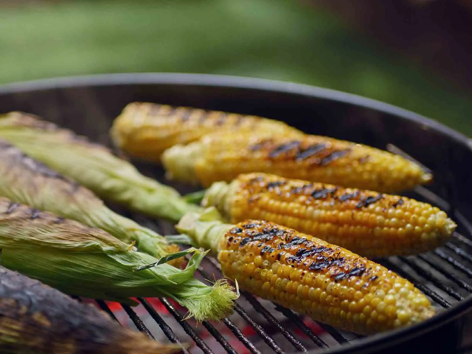Corn on the Cob Without the Husk - textblock image 0 for how-to-grilled-vegetables