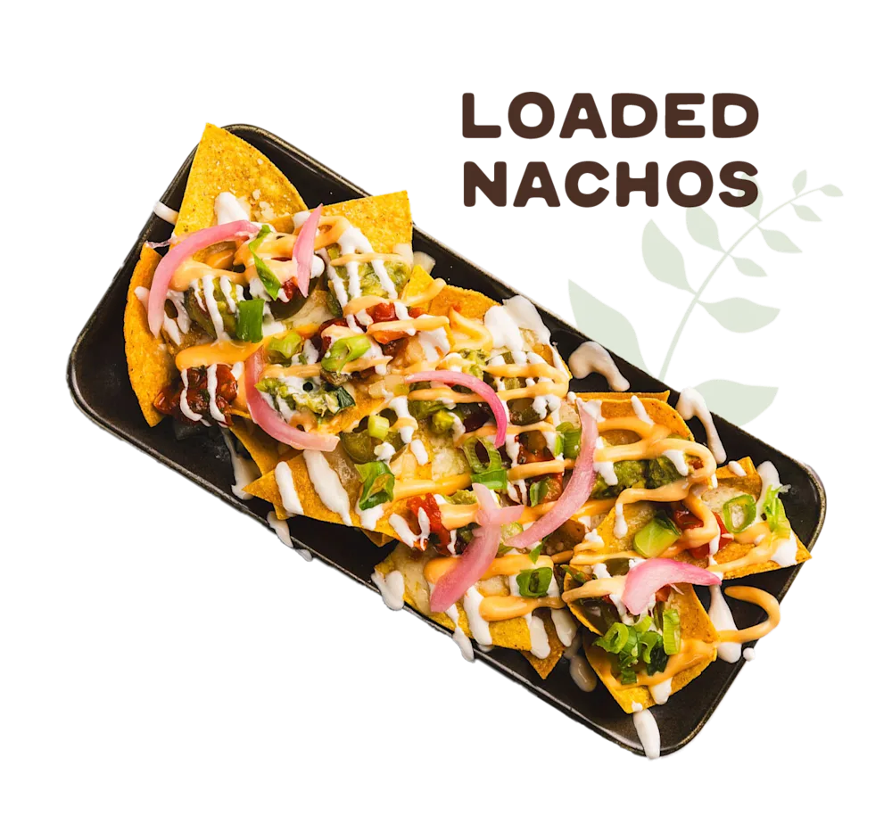 Loaded nachos