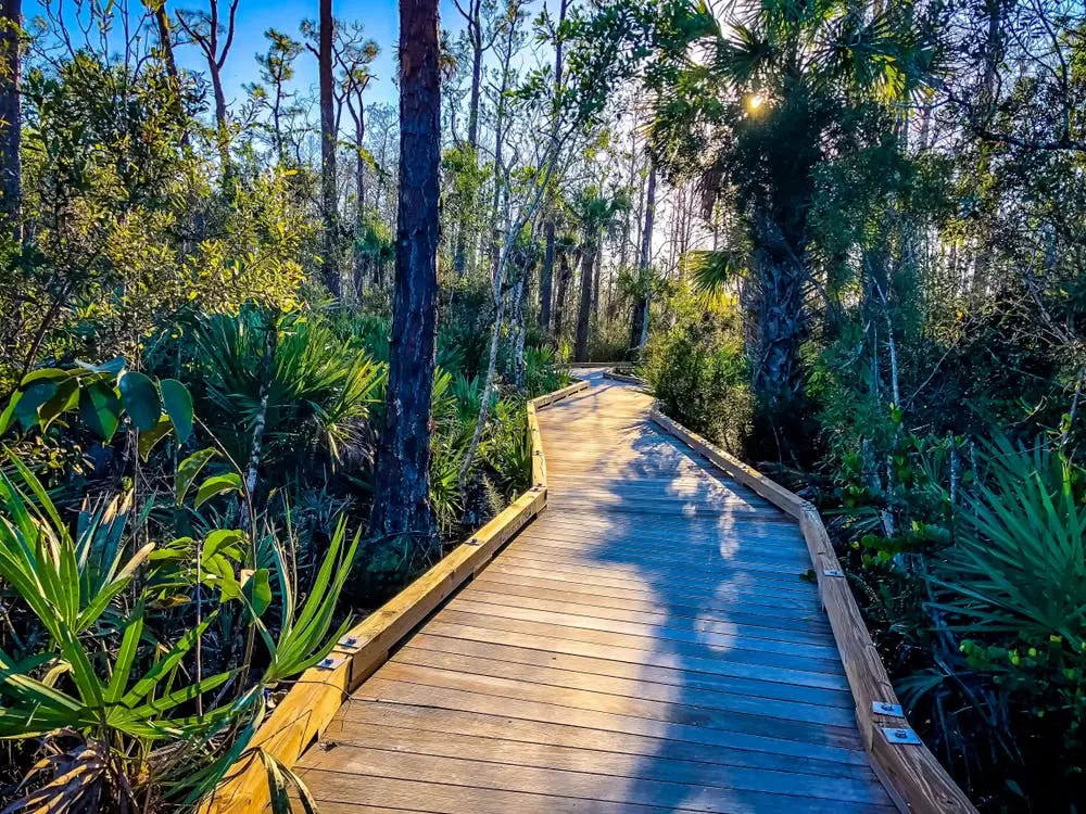 Alafia River State Park