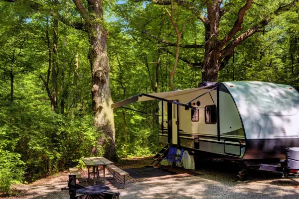 RV Resorts & Campsites in New River Gorge National Park
