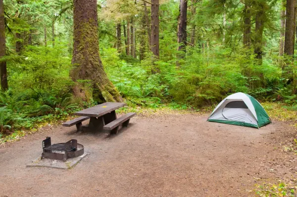 RV Resorts & Campsites in Olympic National Park