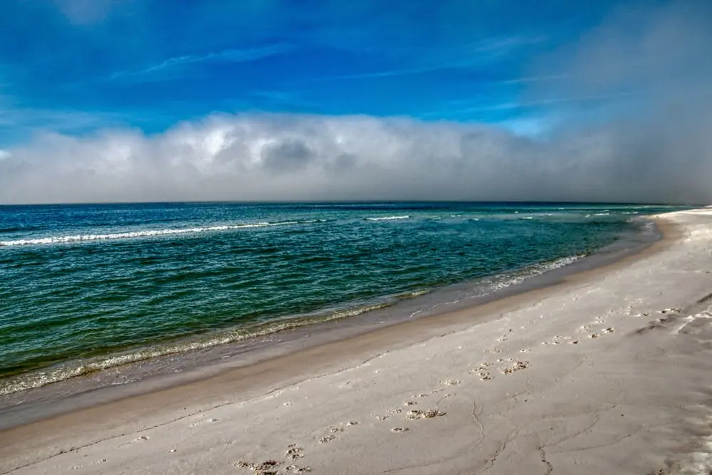 Grayton Beach State Park