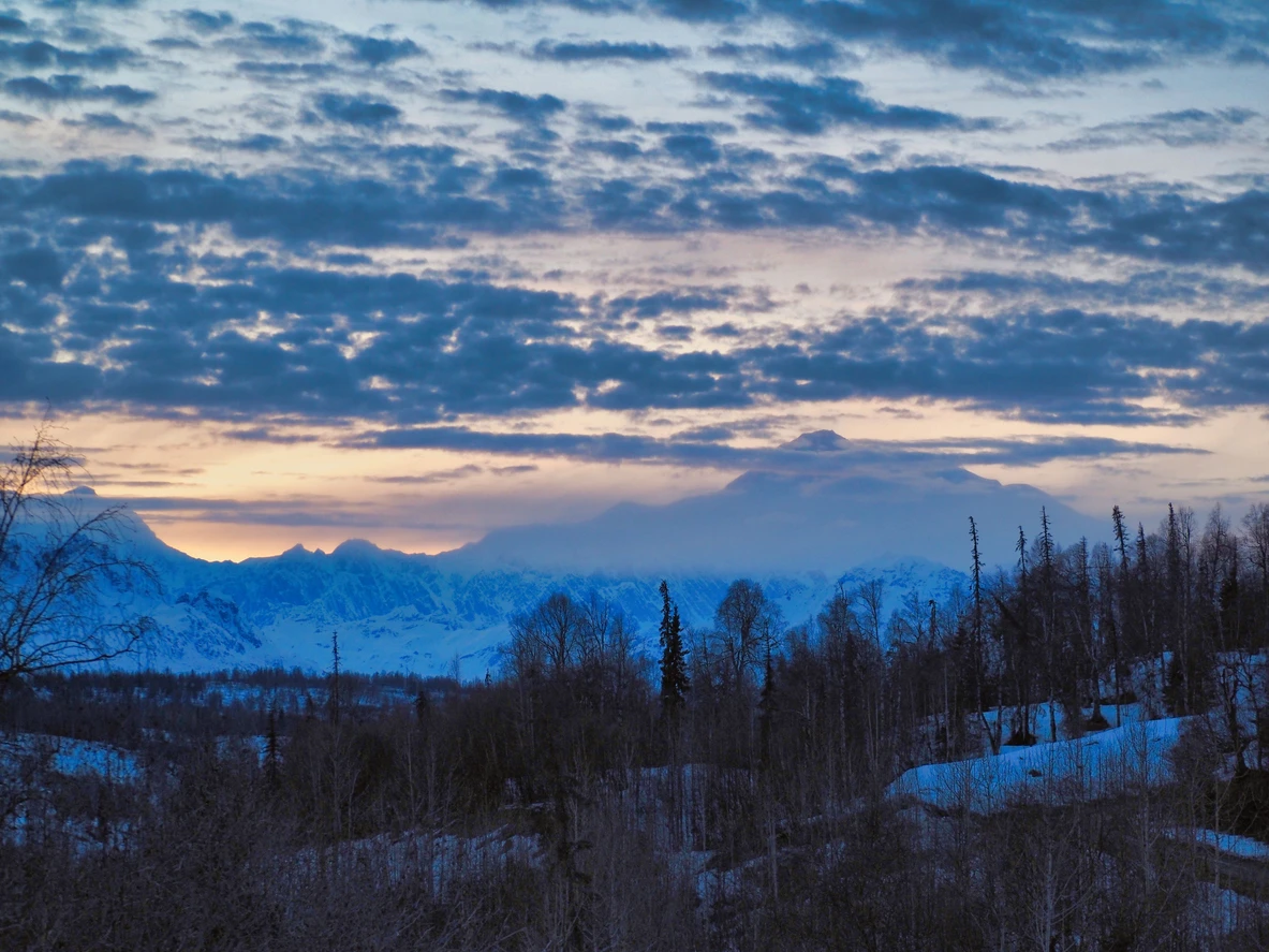 Denali State Park