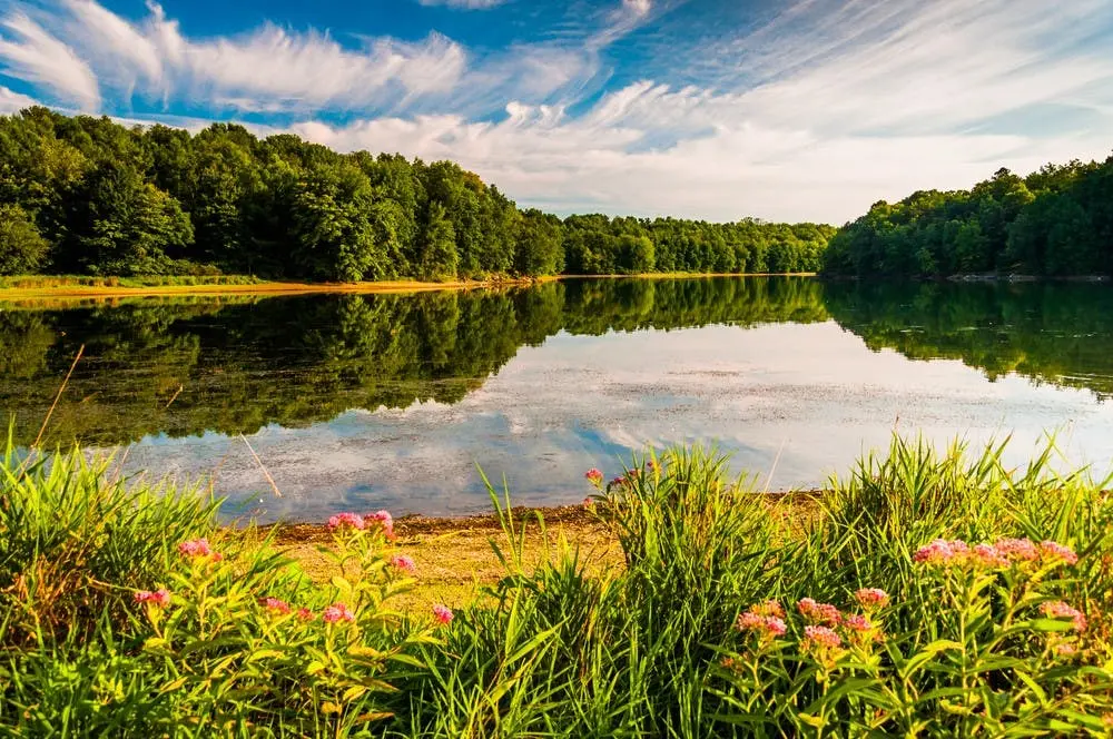 Codorus State Park