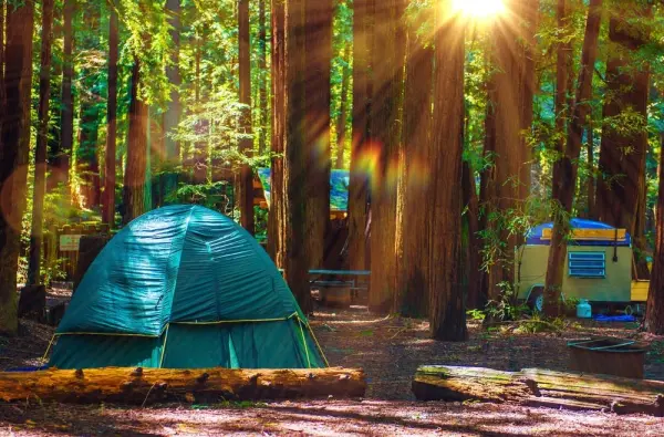 RV Resorts & Campsites in Redwood National Park
