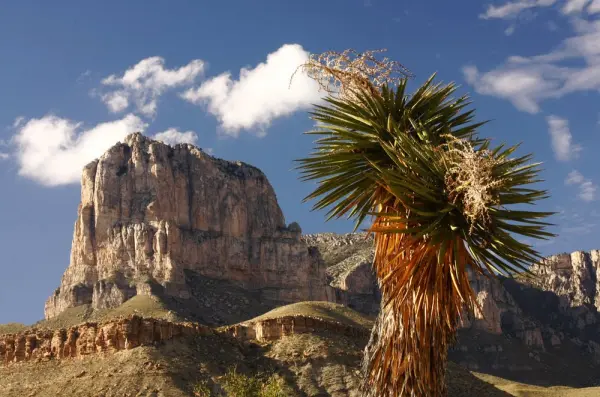 RV Resorts & Campsites in Guadalupe Mountains National Park
