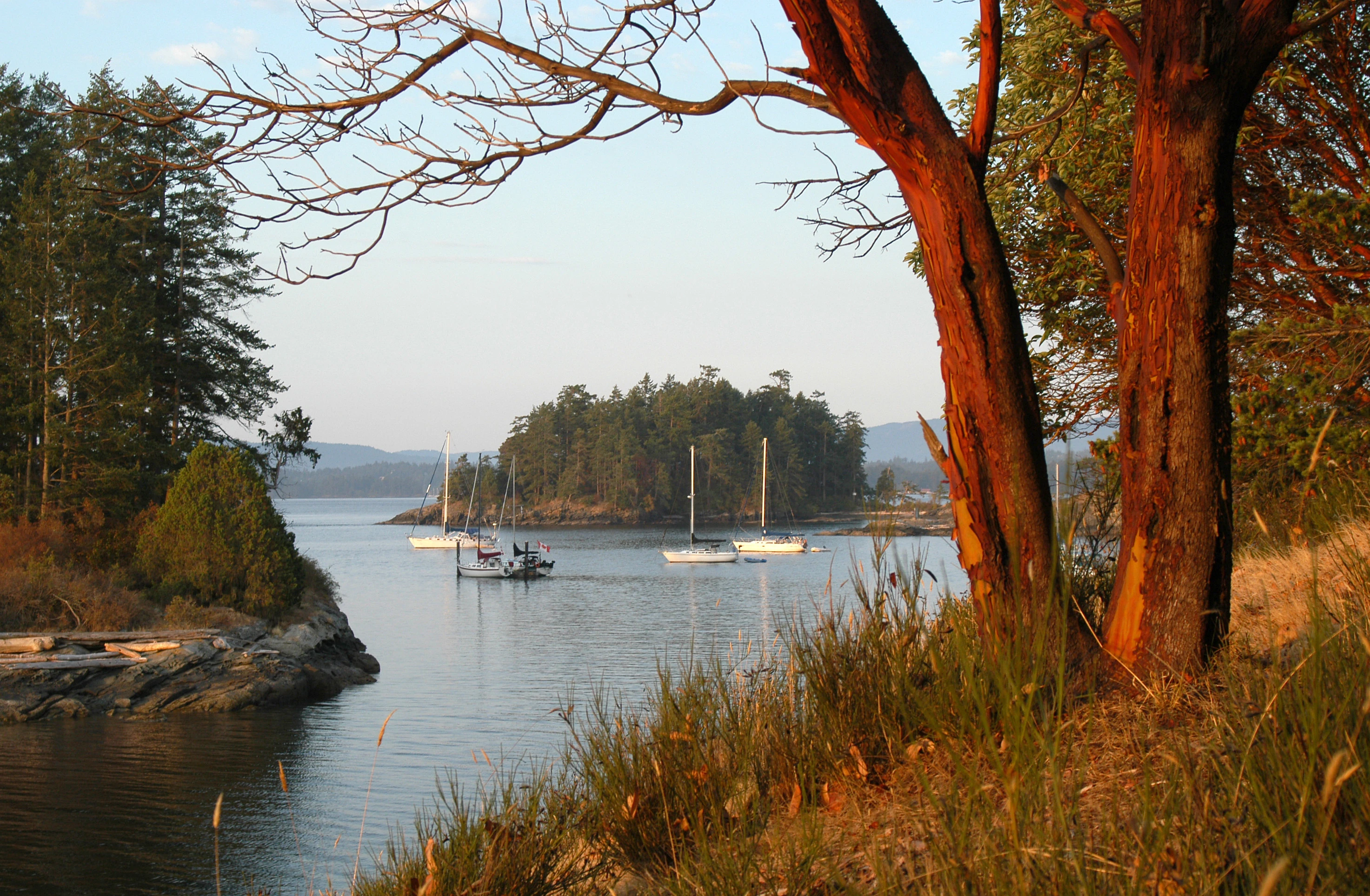 A view of Gulf Island National Park Reserve