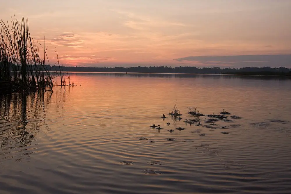 Topsail Hill Preserve State Park