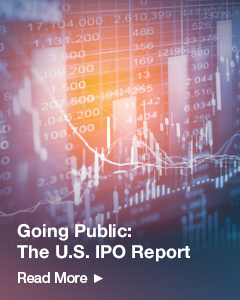 Going Public: The U.S. IPO Report