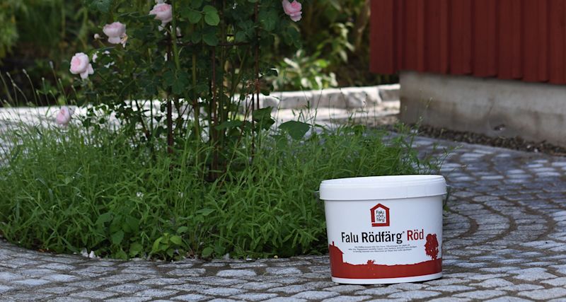 Vit hink med Falu Rödfärg Röd på kullerstensgång bredvid grönska och rosa rosor