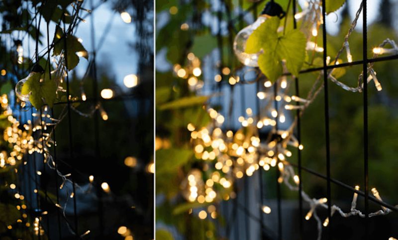 Varmvita ljusslingor virade kring metallnät med gröna blad i kvällsljus.