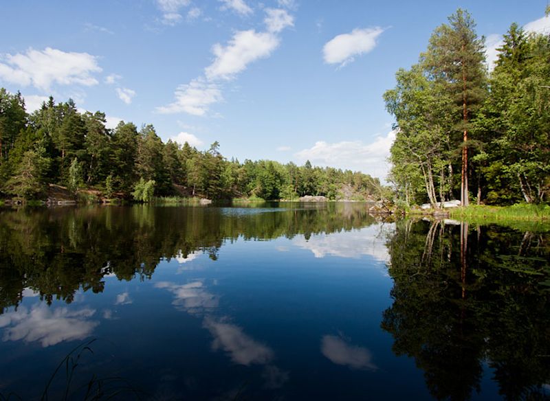 Spegelblank sjö omgiven av grön tall- och lövskog under blå himmel med vita moln