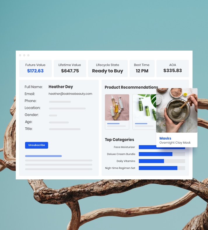 Ecommerce Analytics - Pro Package