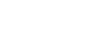 Wordpress logo