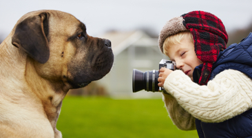 Image of little boy photographing a big dog