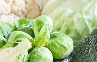 Header winterNUT food vegetables