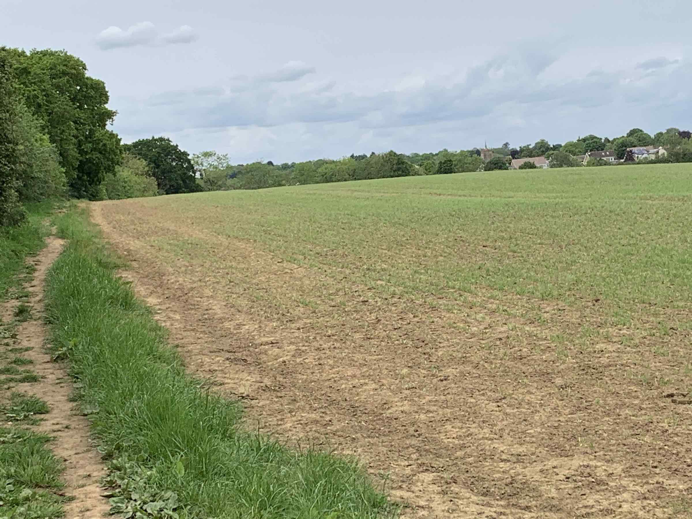 North through Big Field