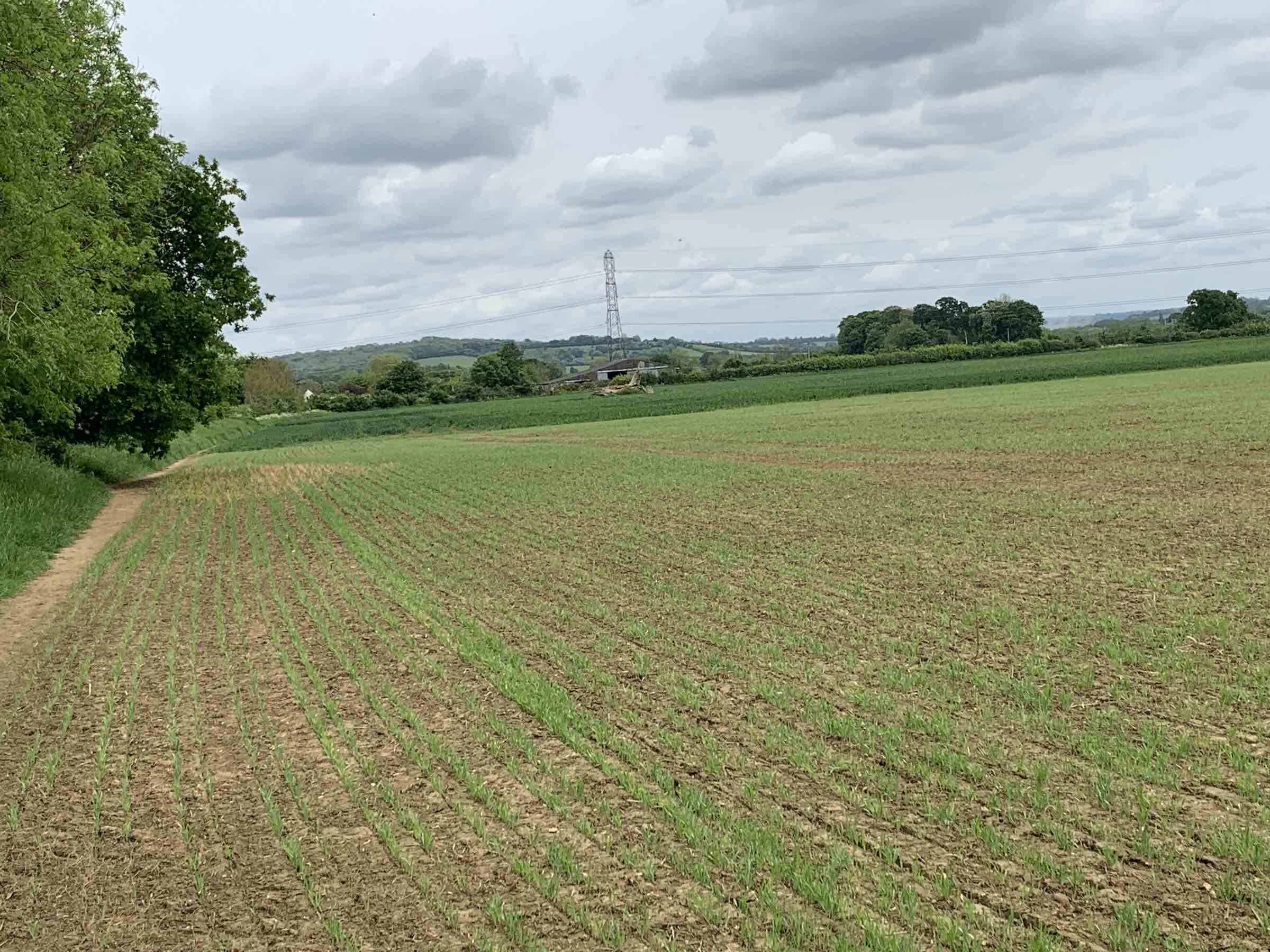 Big Field north side