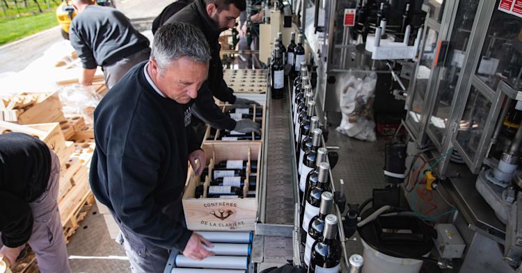 People standing in a bottling line packing freshly bottled wine into wooden cases