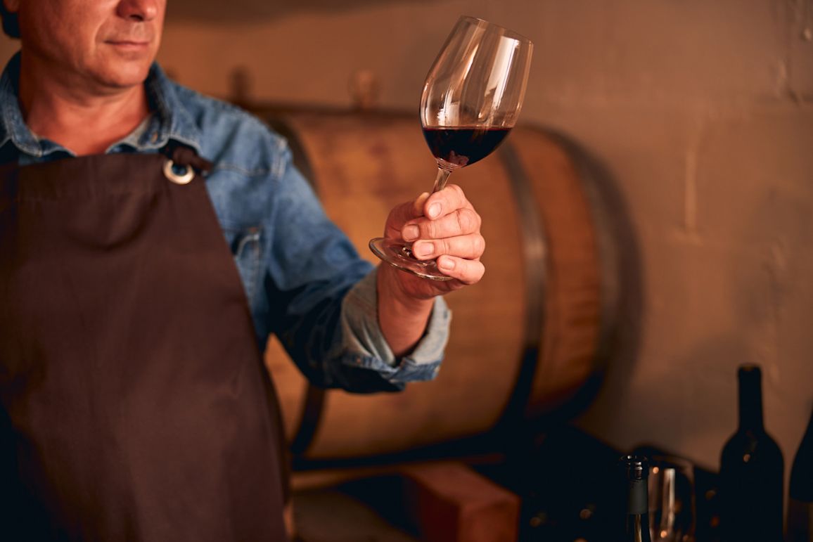 A vintner inspecting the quality of a glass of red wine in a wine cellar - tannins in wine