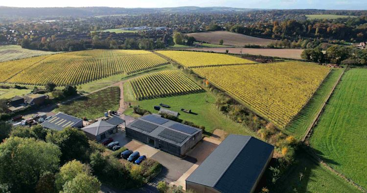 A drone view of Harrow & Hope vineyard in Marlow