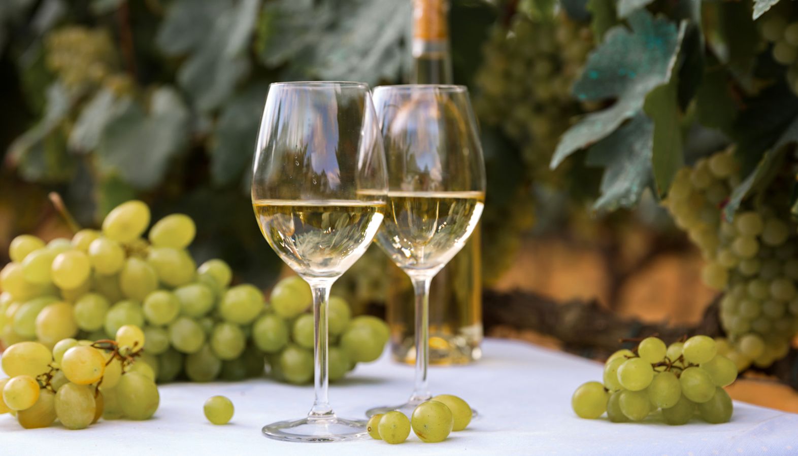 Two glasses of Chenin Blanc wine on a table next to bunches of green grapes - sweet white wine