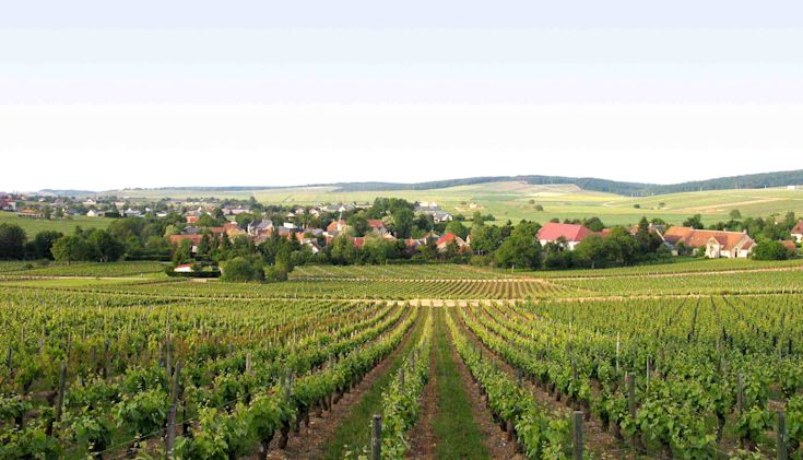 View of Loire village from vineyard