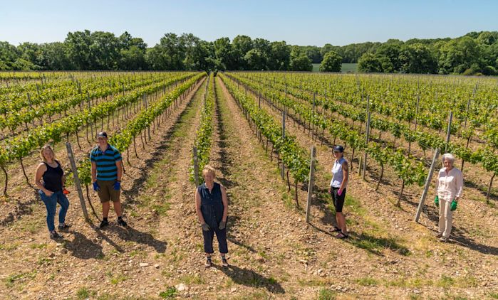 Barbara and the Wyfold team standing with the backdrop of the vineyard