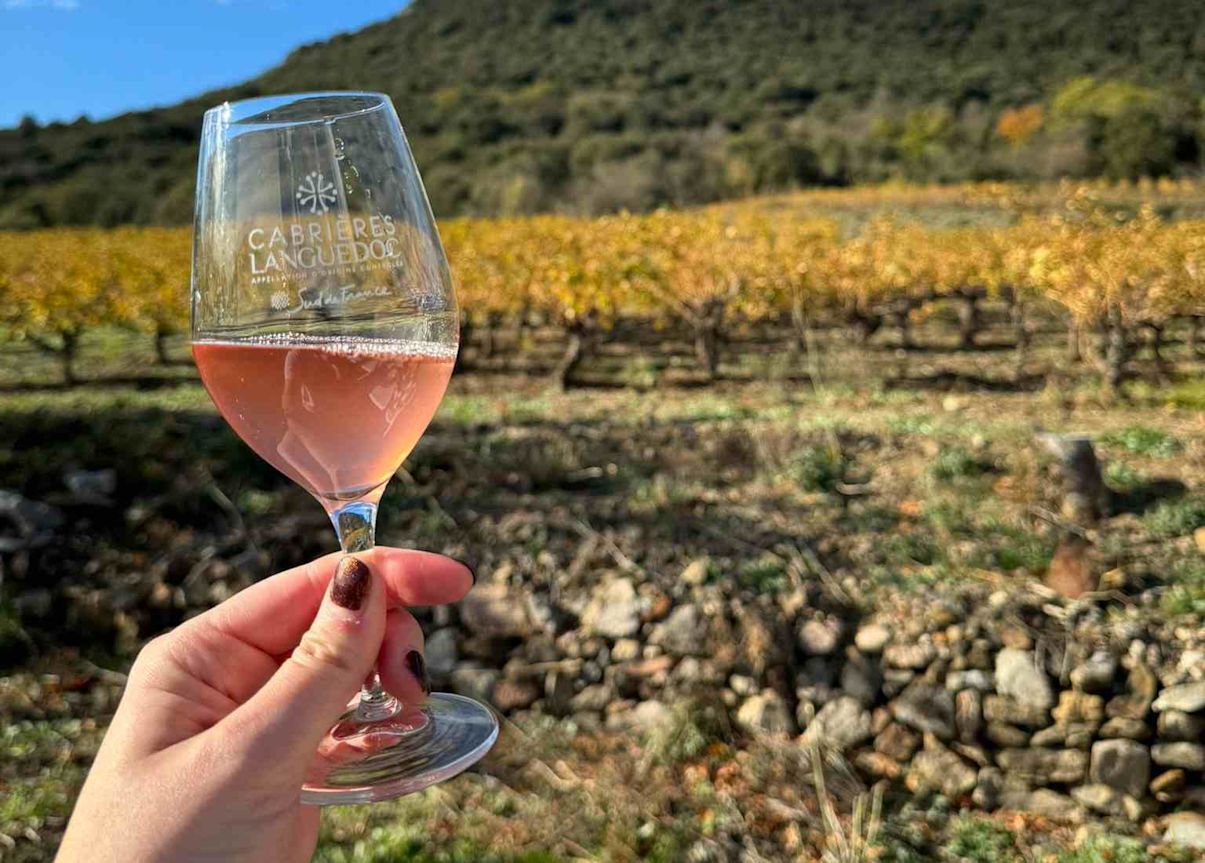 Hand holds a glass of Loubissou rosé in the wine vineyard in France