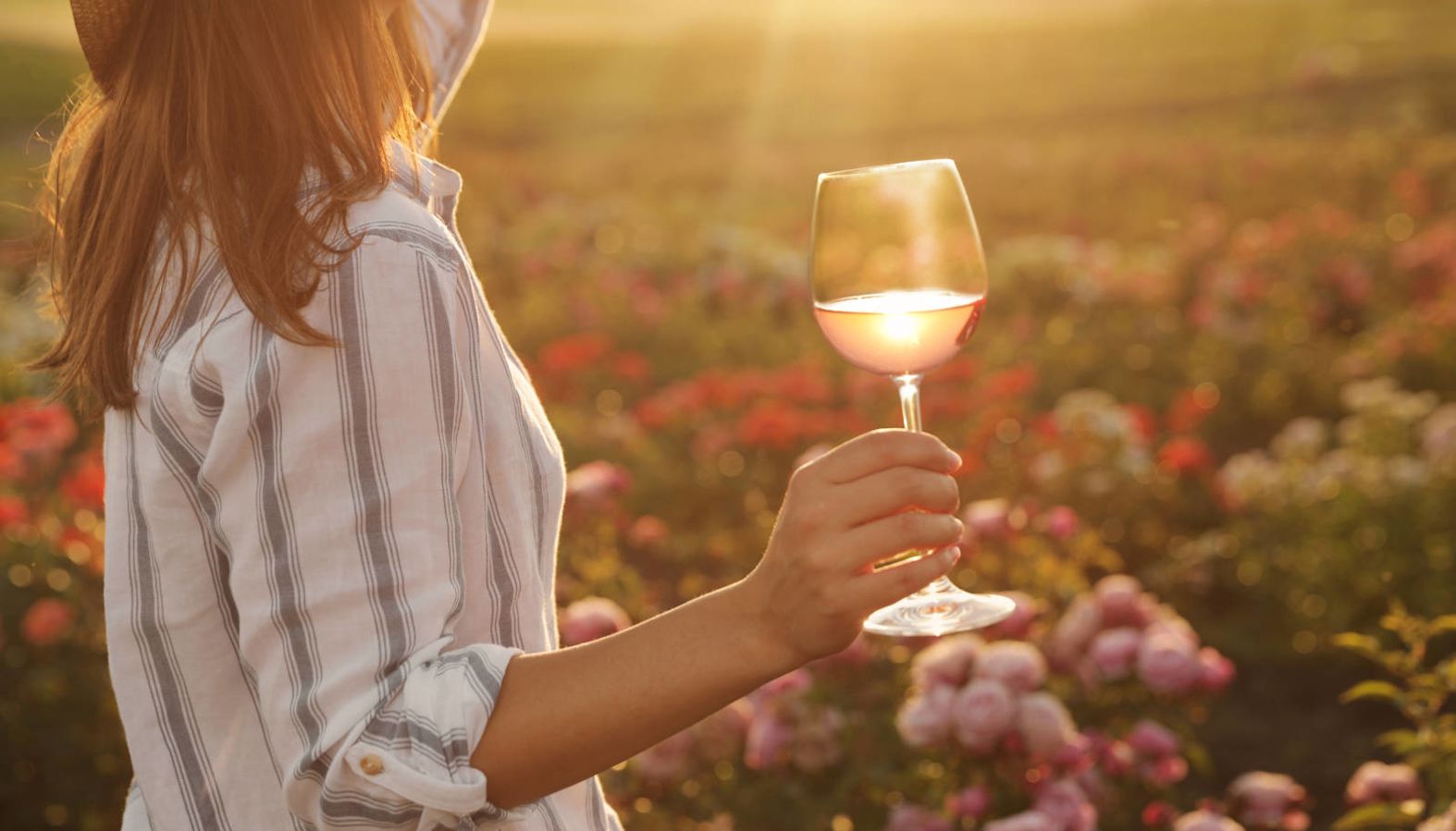 Dry rosé wine - a woman holding a glass of rosé wine overlooking a field of flowers in the summer sunshine