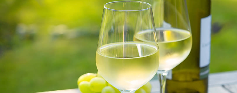 Two glasses of white wine next to grapes overlooking a vineyard - German white wine