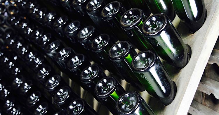 Lots of green wine bottles slotted bottom up into a riddling rack