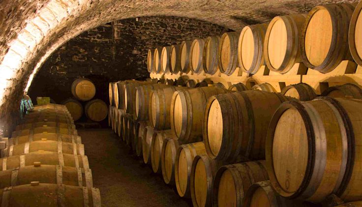 Oak barrels in a wine cellar stored for fermenting wine