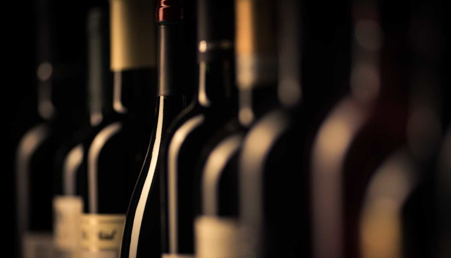 Wine bottle sizes - a dark cellar with a selection of wine bottles