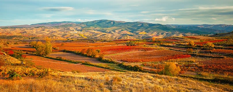 The mountainous landscape of Rioja, Spain, during the day - Spanish red wine
