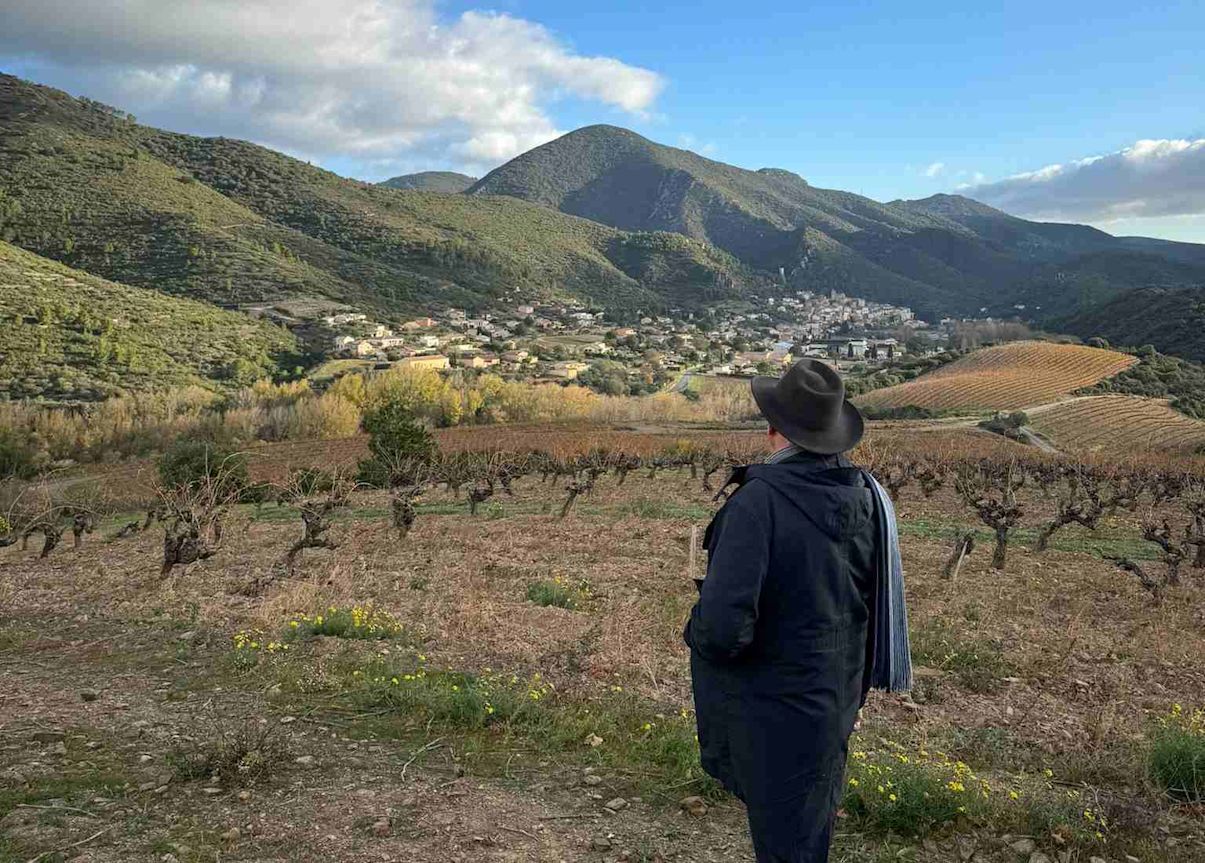Tony Laithwaite admiring the view of Roquebrun village from the vineyard
