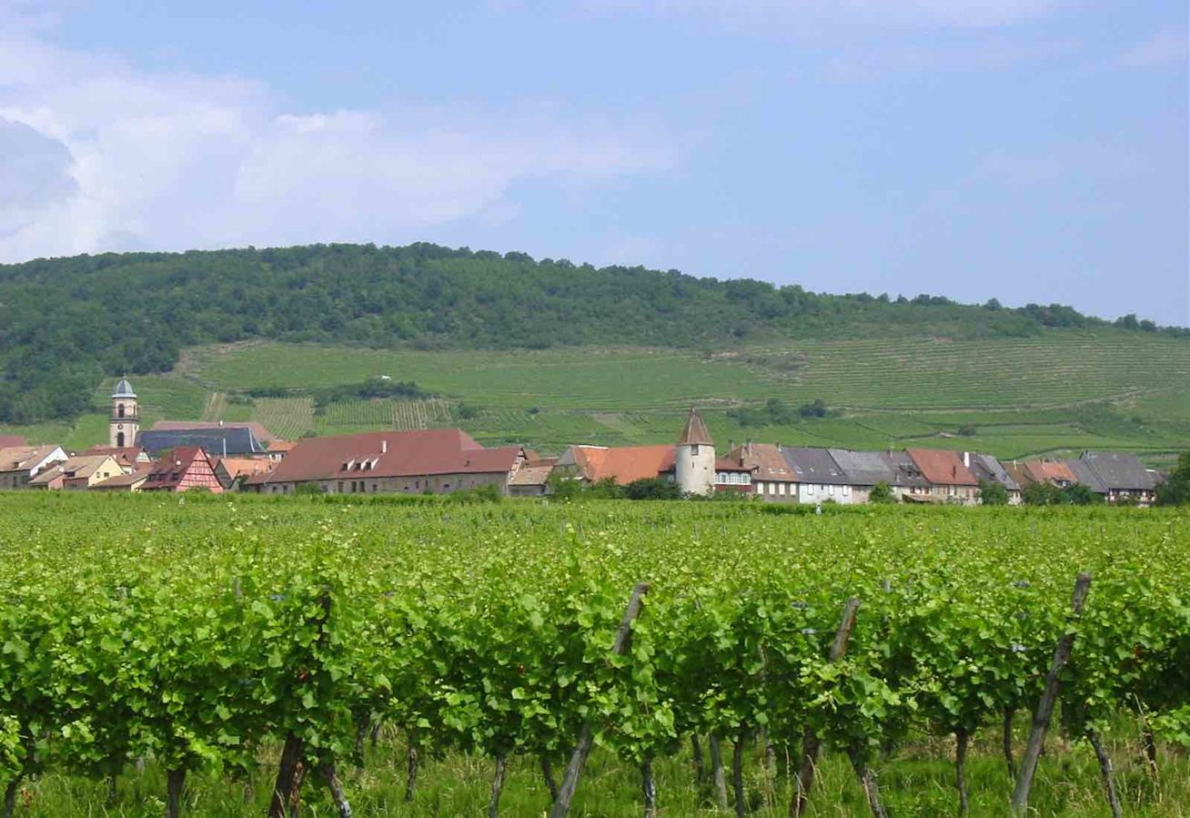 Alsace during the summer