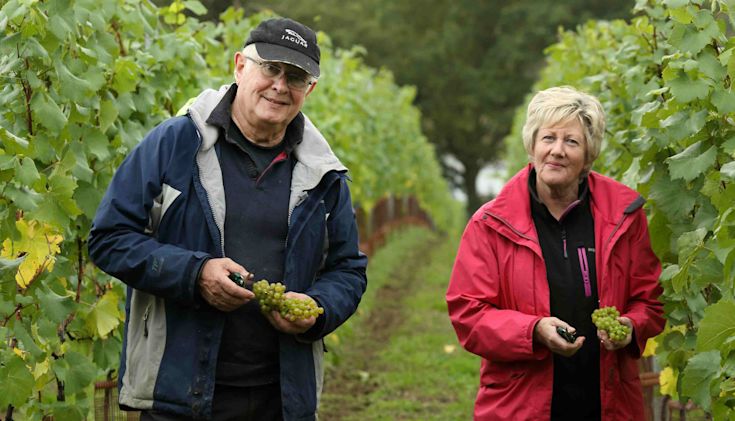 Tony and Barbara Laithwaite in an English vineyard holding newly harvested grapes