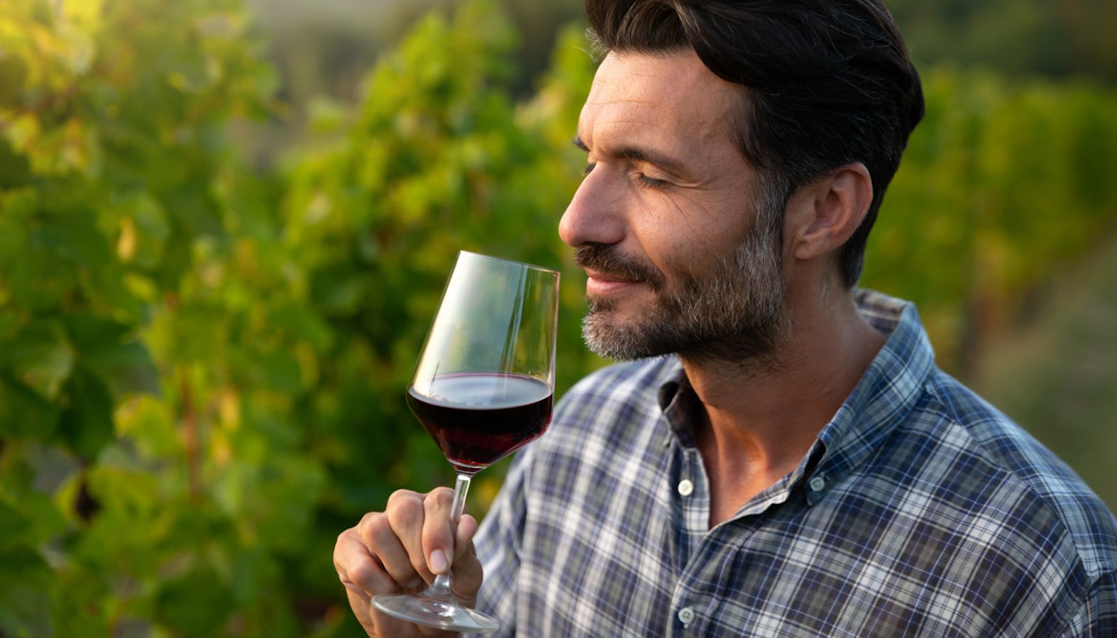 A man in a vineyard tasting a glass of red wine - tannins in wine