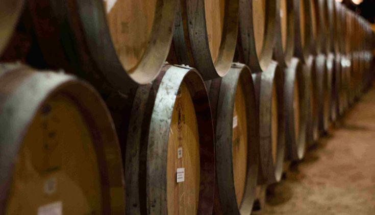 Rows of wine barrels ageing wine
