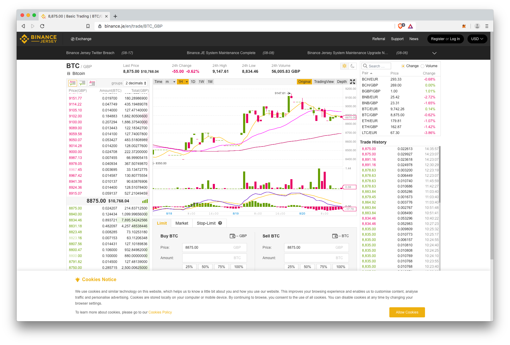 Binance Jersey