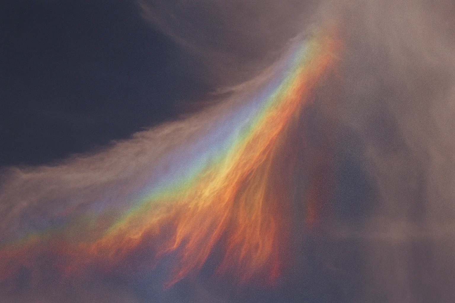 Cover Image for How to Automate Login Flows Without Writing Scripts