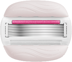 Lames Comfortglide avec Olay Sugarberry