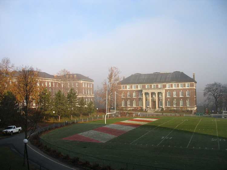 The Startup Early Engineer Cooperative