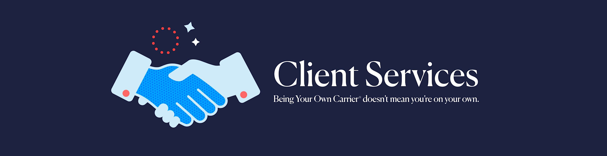 Client services banner graphic