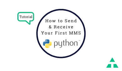 Thumbnail image for "MMS Tutorial Using Python SDK"