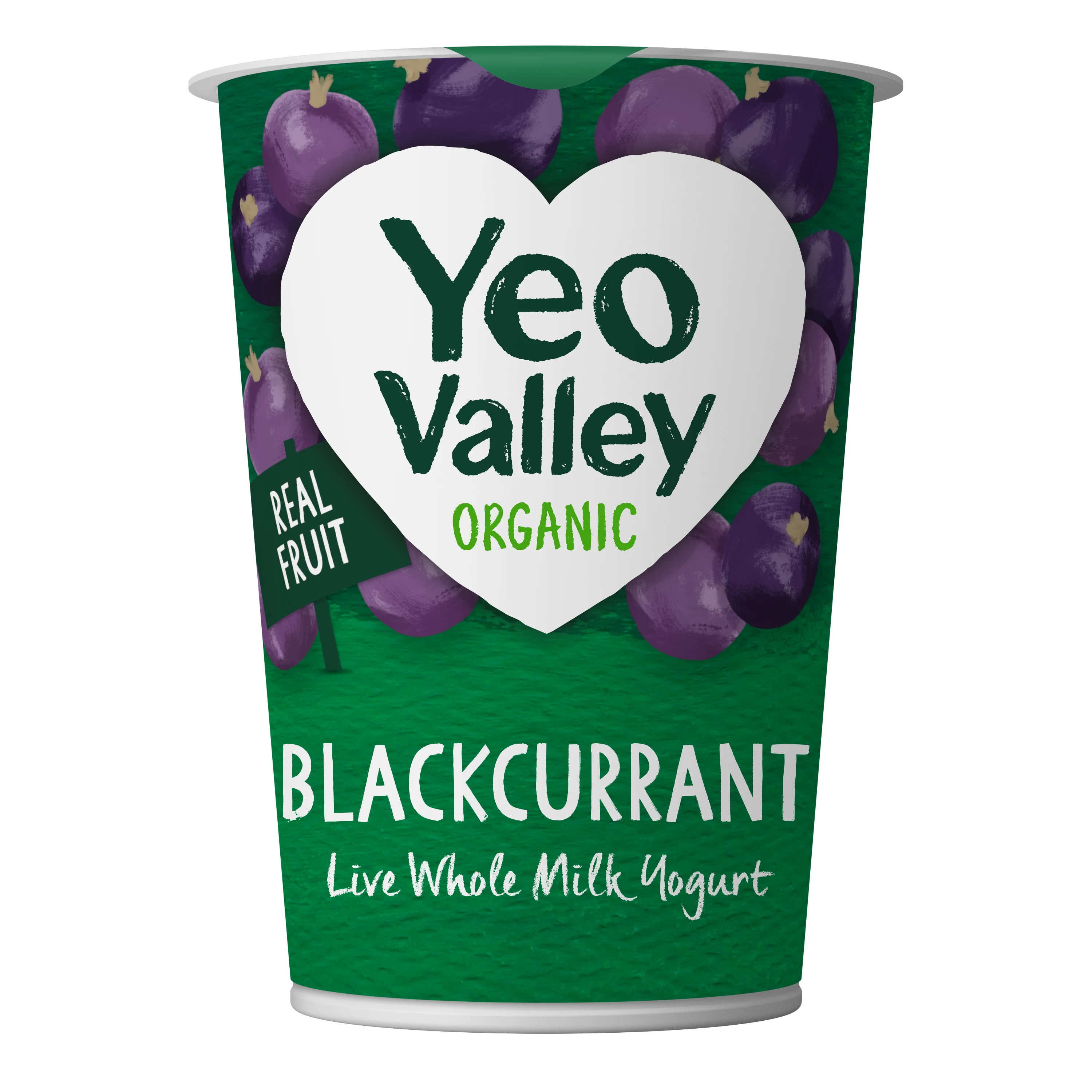 British Blackcurrant Yogurt in 450g size