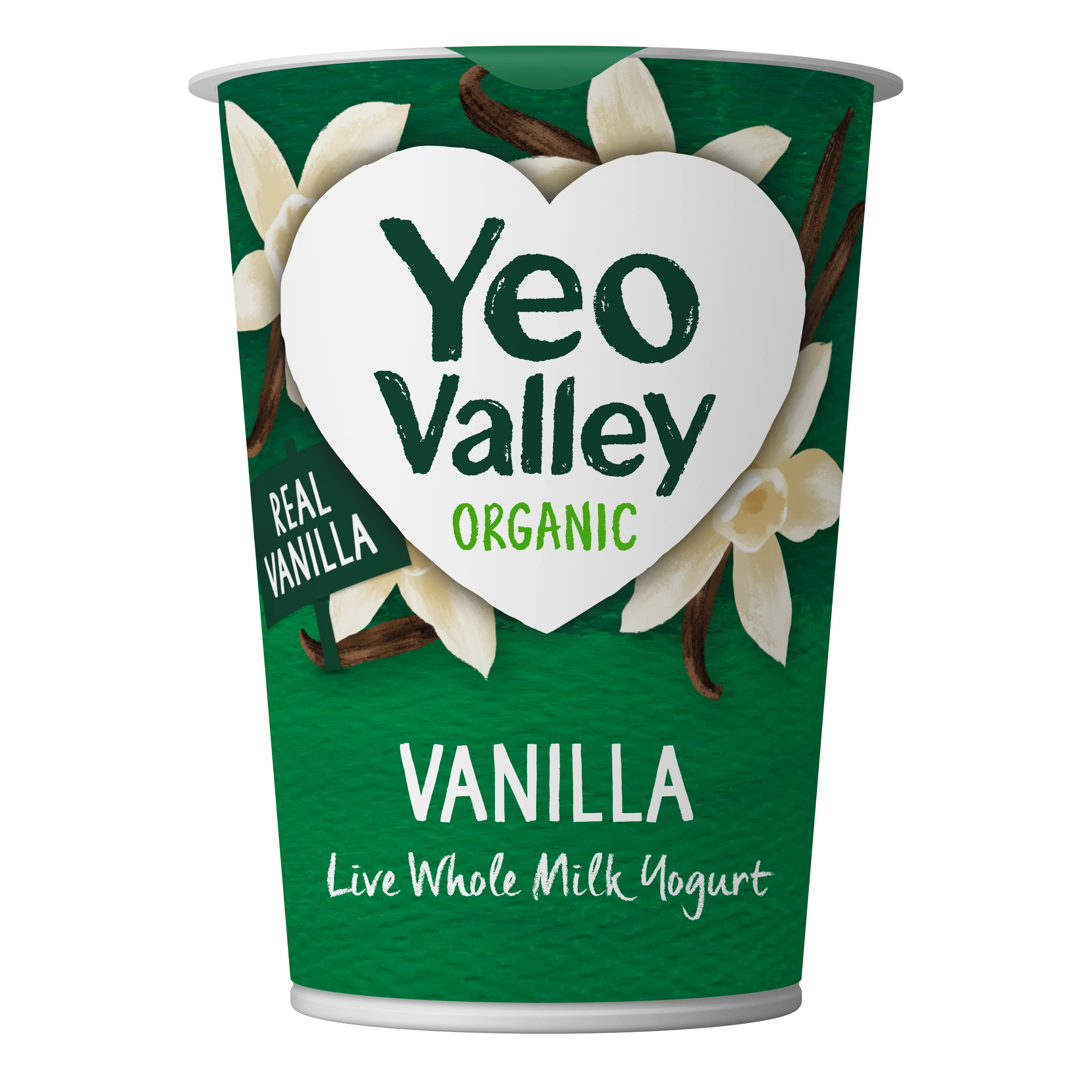 Vanilla Yogurt in 450g size