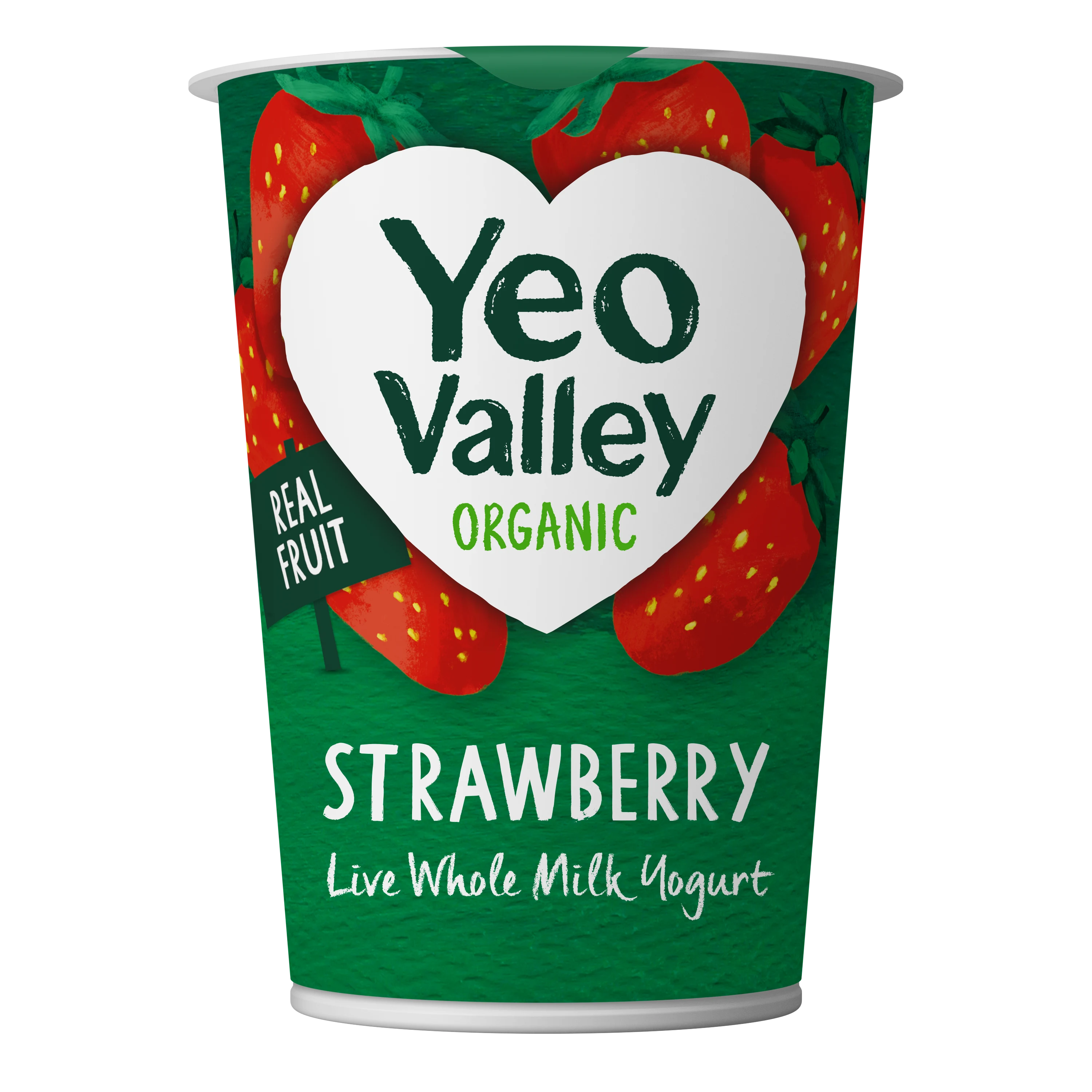 Strawberry Yogurt in 450g size