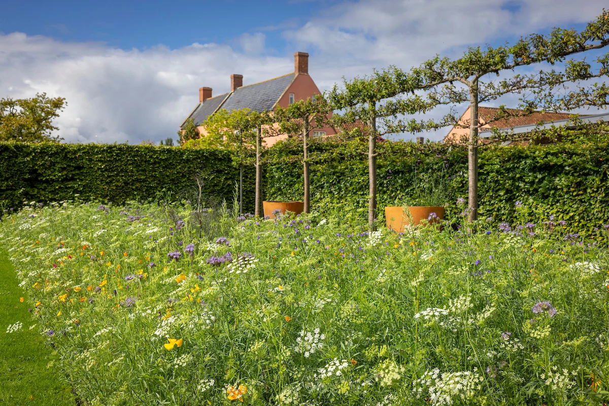 16238 Organic Garden - Garden Festival 2025